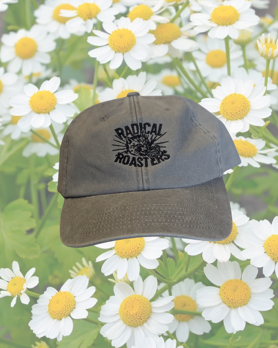 Radical Roasters Cap - New Stonewashed Grey