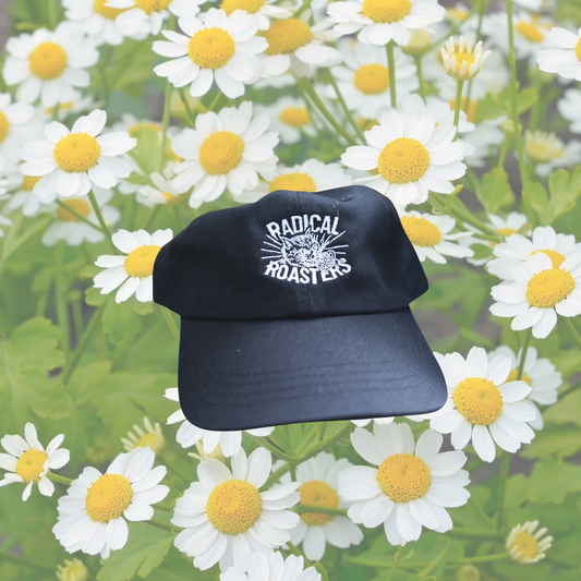 Radical Roasters Cap